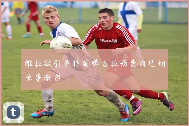 维拉欲引多特前锋吉拉西费内巴切竞争激烈